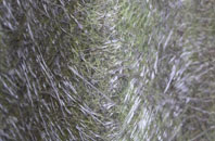 Fishburn fibreglass roof work