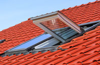 Fishburn roof window